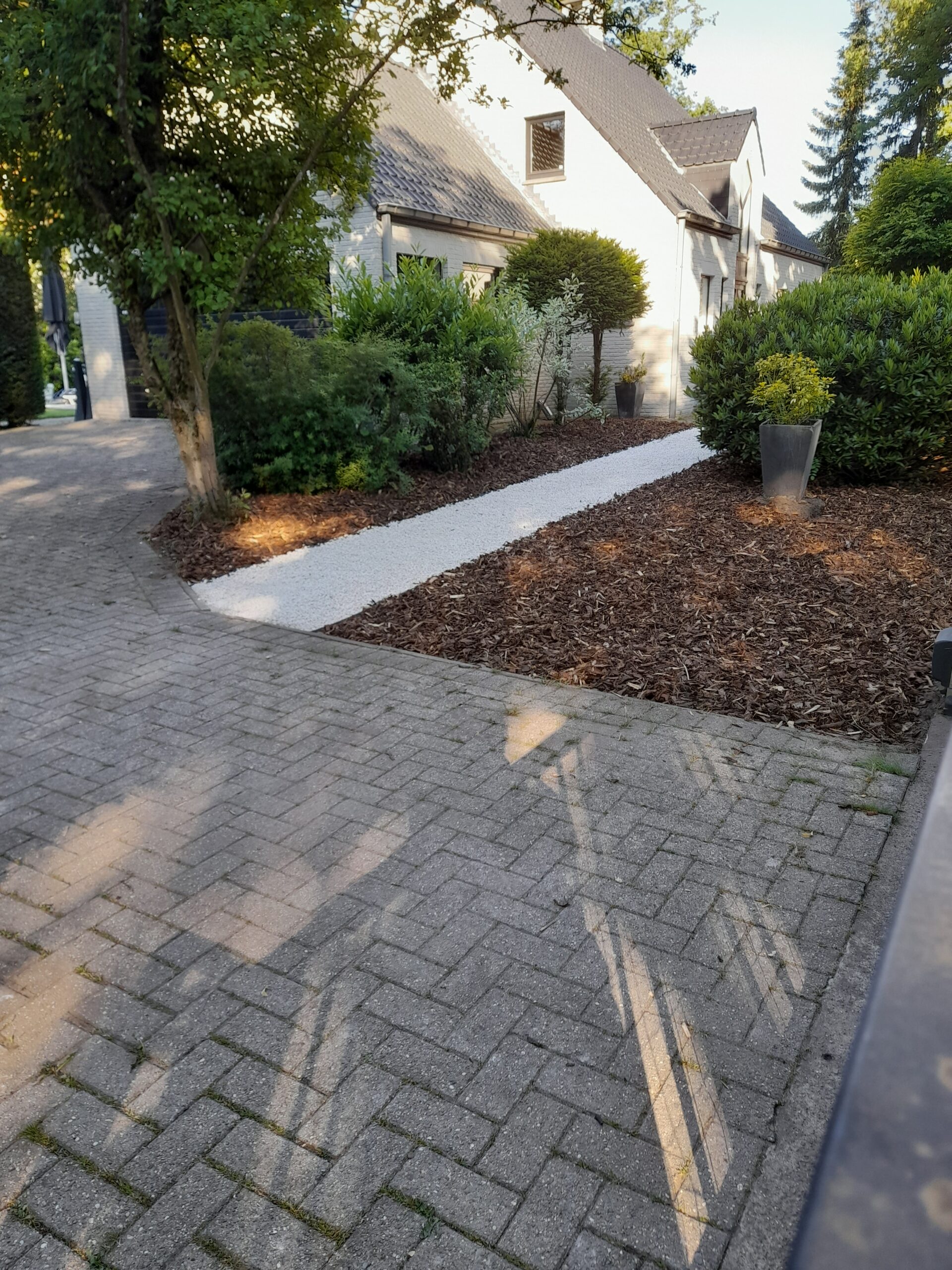 20220603_081643